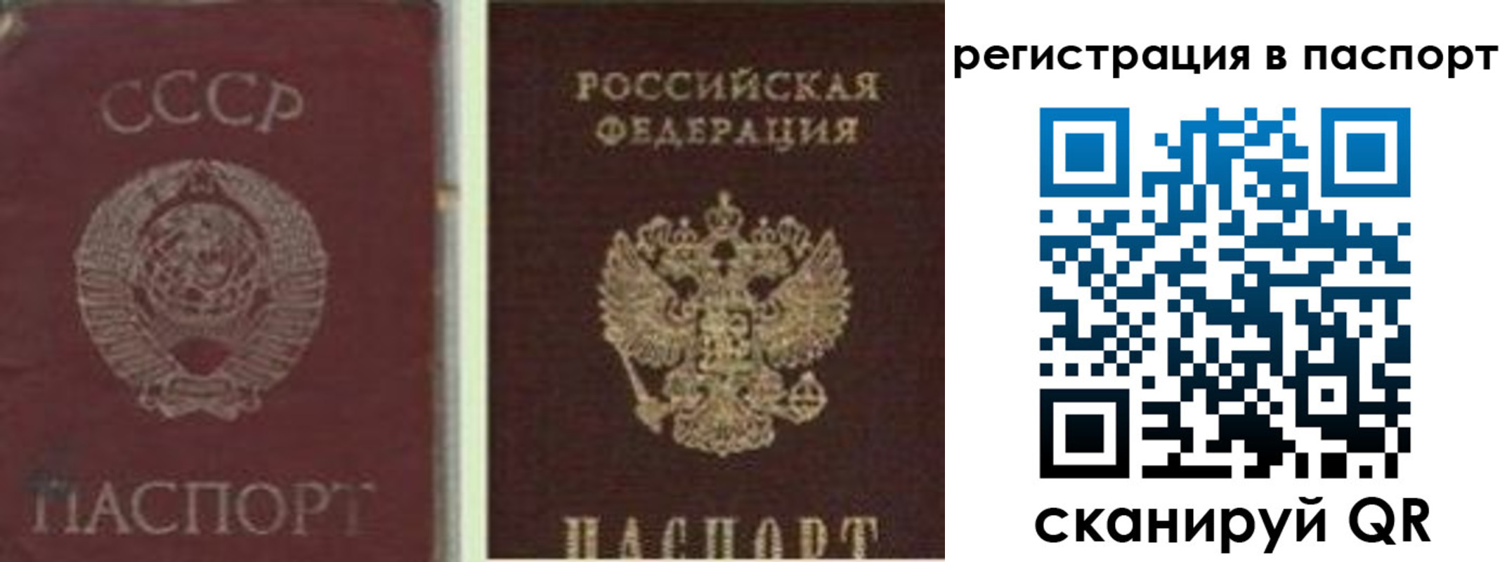 прописка для школы в Богдановиче